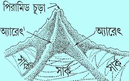 করি বা সার্ক