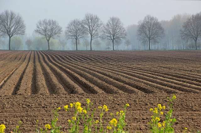 AGRICULTURE LAND