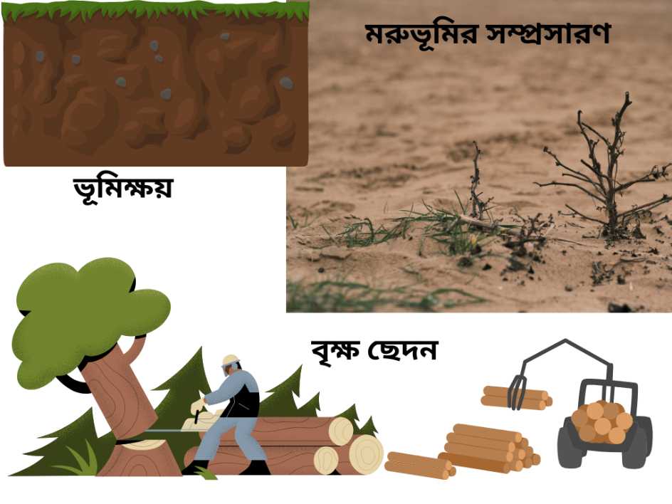 মরু সম্প্রসারণ বা মরুকারণ