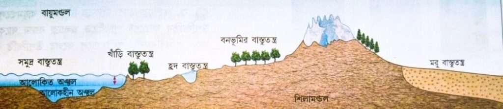 জীবমন্ডল,Biosphere