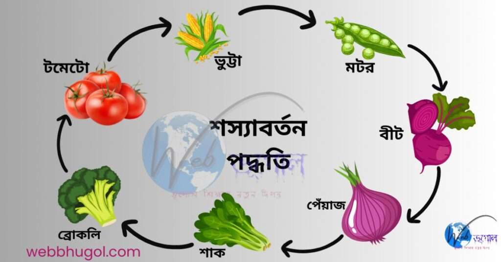 শস্যাবর্তন পদ্ধতি, Corp Rotation,