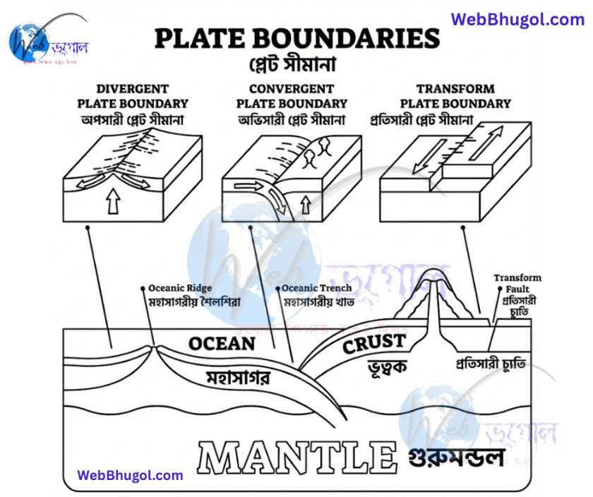 চিত্র ১: ভূ-অভ্যন্তরে ক্রিয়াশীল পরিচলন স্রোত।