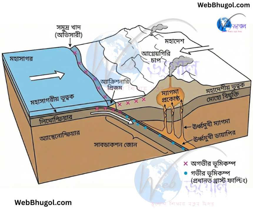 অভিসারী বা বিনাশকারী পাত সীমানায় সাবডাকশন জোন এবং বেনিয়ফ জোন (Benioff Zone) সৃষ্টির চিত্র।