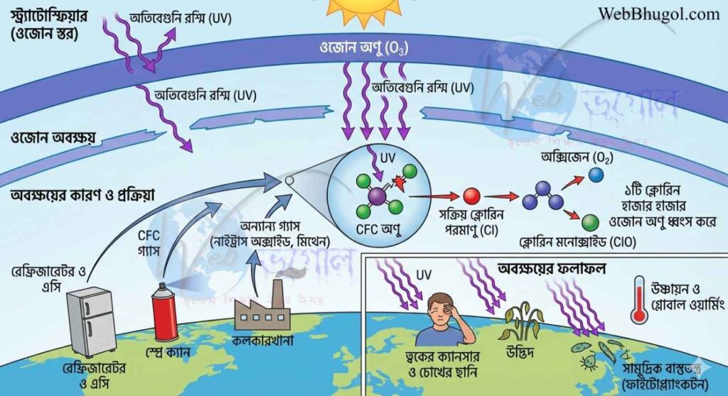 ওজোন স্তর অবক্ষয়ের কারণ ও ফলাফল