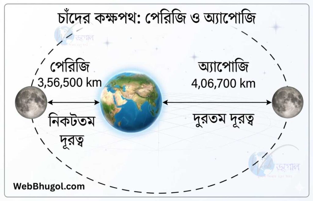 "A clear diagram illustrating the Moon's elliptical orbit around the Earth, labeled in Bengali. It shows the Perigee point (closest distance at 3,56,500 km) and the Apogee point (farthest distance at 4,06,700 km)."